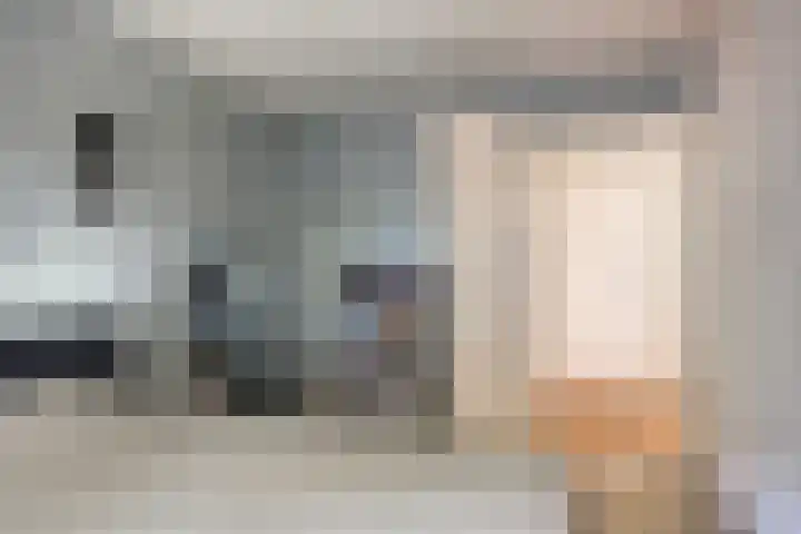 Franke Deddenstraat 6 De Blesse thumbnail 19