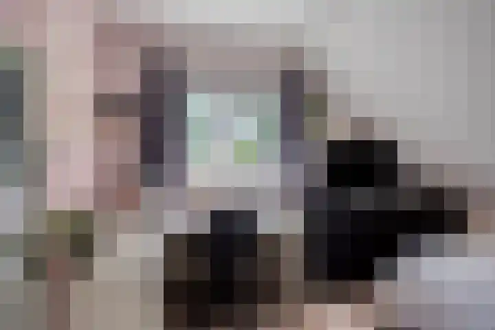 Franke Deddenstraat 6 De Blesse thumbnail 20