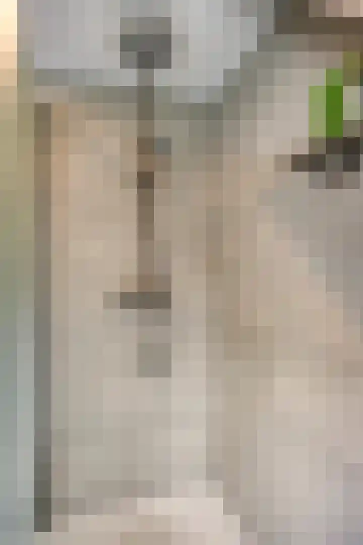 Franke Deddenstraat 6 De Blesse thumbnail 25