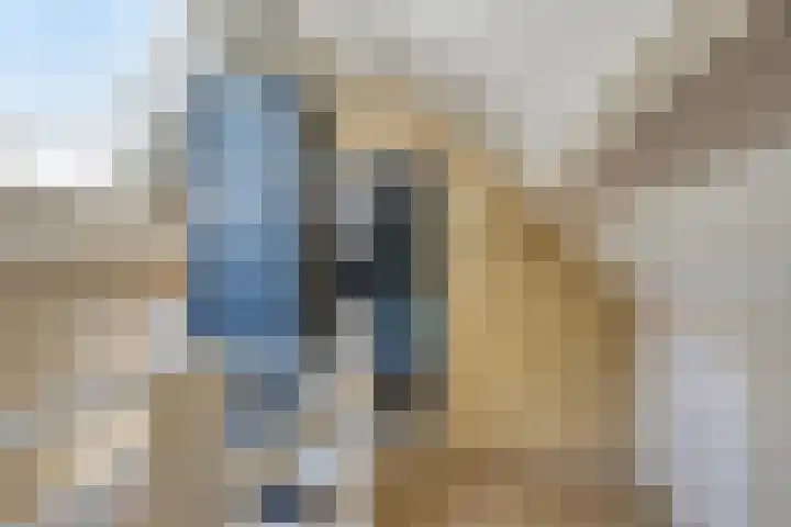 Franke Deddenstraat 6 De Blesse thumbnail 28