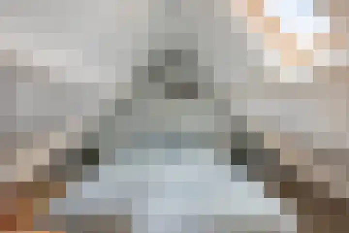 Franke Deddenstraat 6 De Blesse thumbnail 29