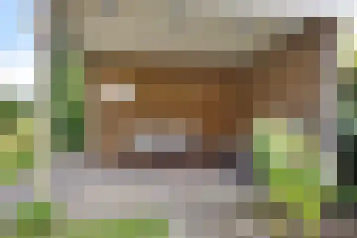 Franke Deddenstraat 6 De Blesse thumbnail 31