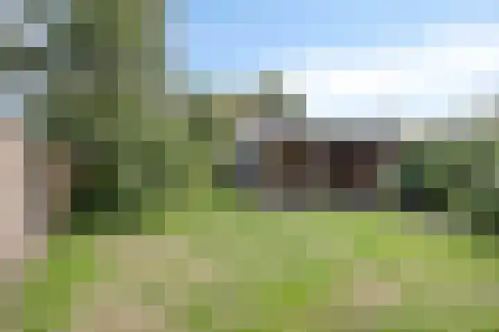Franke Deddenstraat 6 De Blesse thumbnail 32