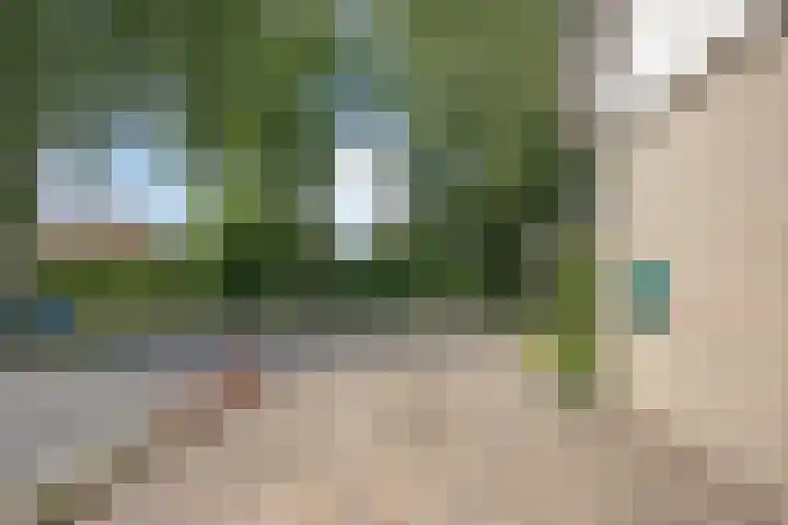 Franke Deddenstraat 6 De Blesse thumbnail 34