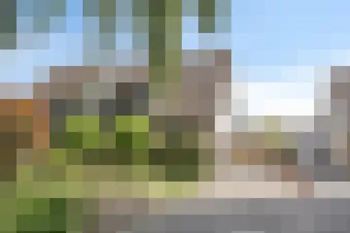 Franke Deddenstraat 6 De Blesse thumbnail 35