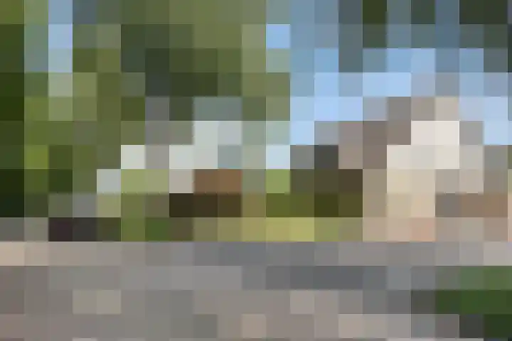Franke Deddenstraat 6 De Blesse thumbnail 36