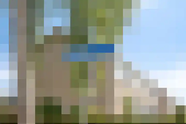 Franke Deddenstraat 6 De Blesse thumbnail 37