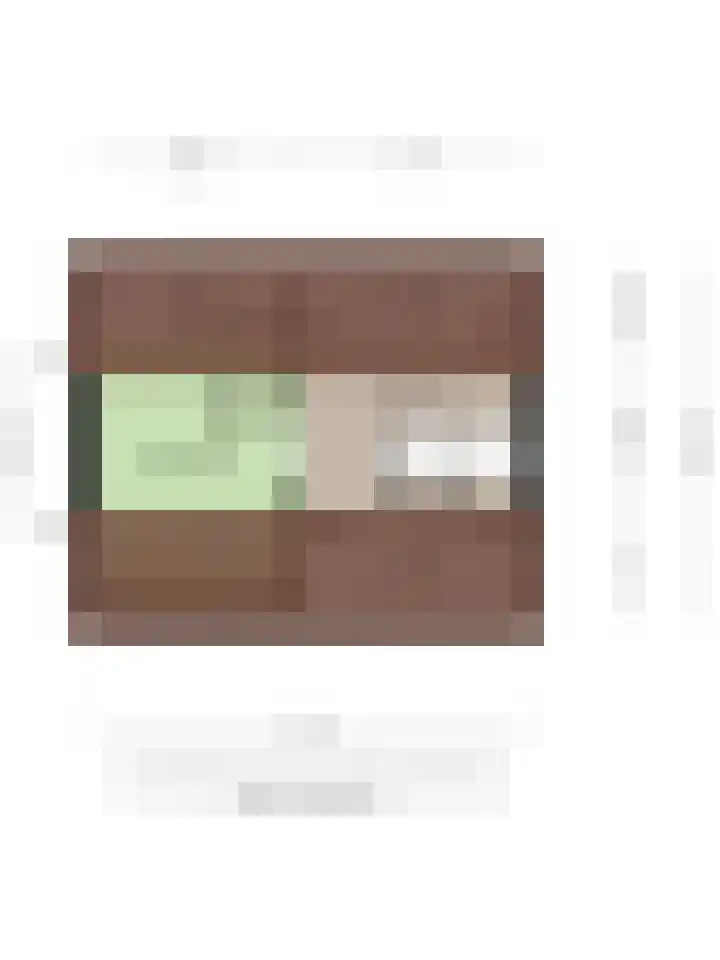Franke Deddenstraat 6 De Blesse thumbnail 40