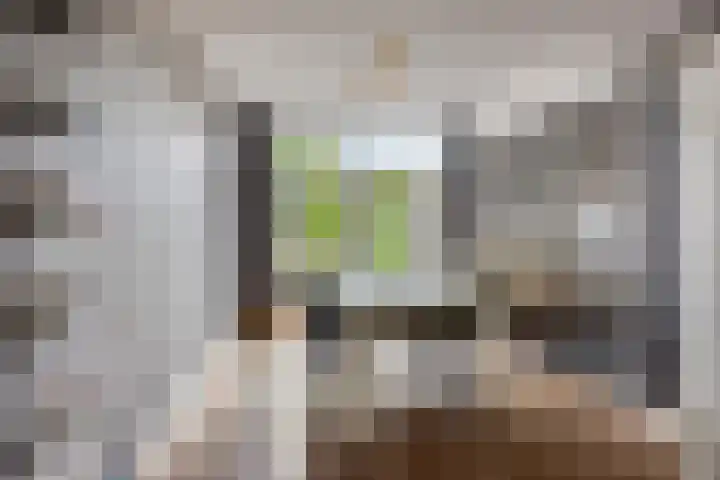 Franke Deddenstraat 6 De Blesse thumbnail 6
