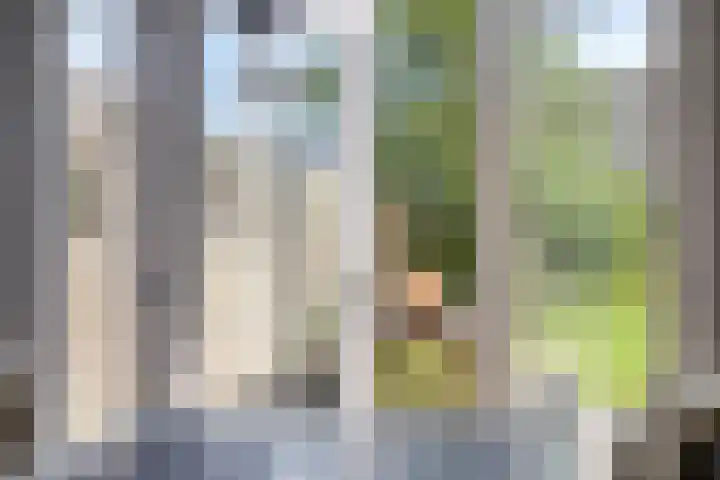 Franke Deddenstraat 6 De Blesse thumbnail 7