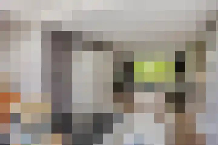 Franke Deddenstraat 6 De Blesse thumbnail 8
