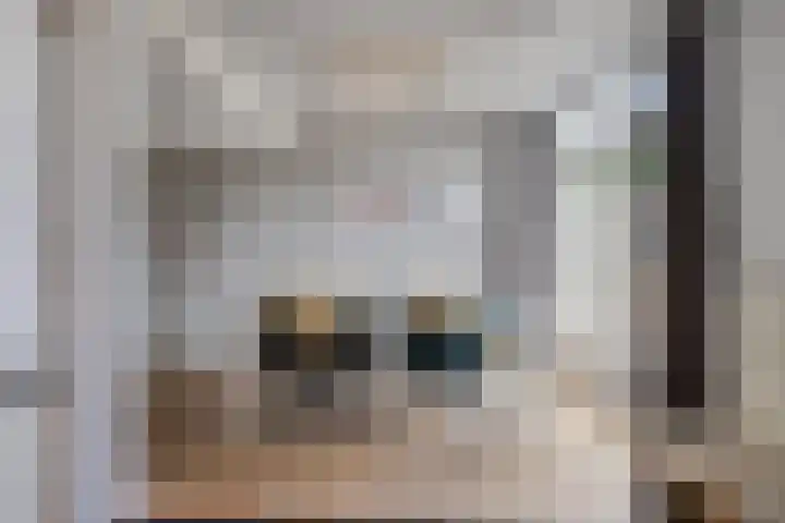 Franke Deddenstraat 6 De Blesse thumbnail 9
