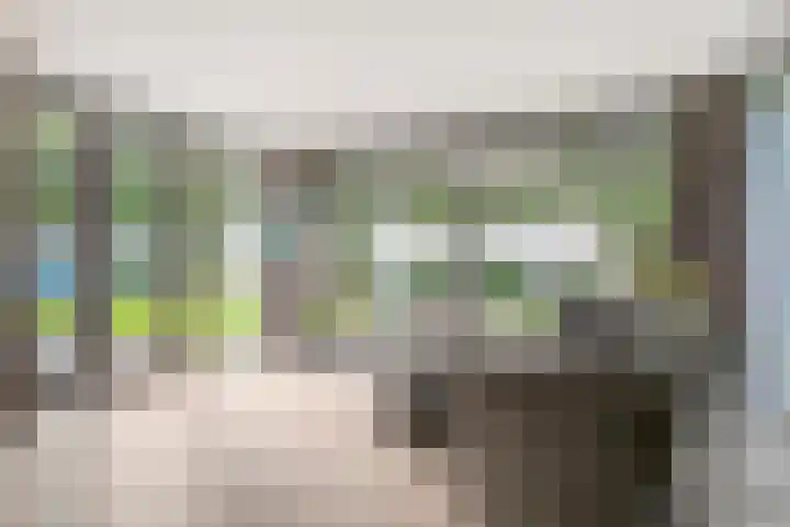 Franke-ven 21 Horn thumbnail 12