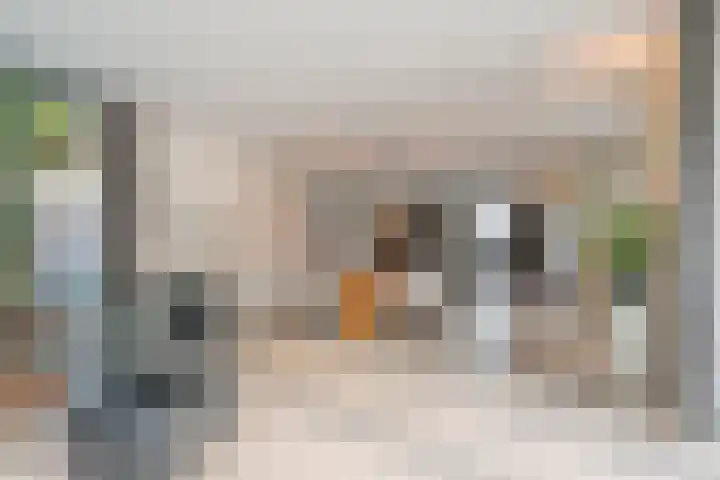 Franke-ven 21 Horn thumbnail 13