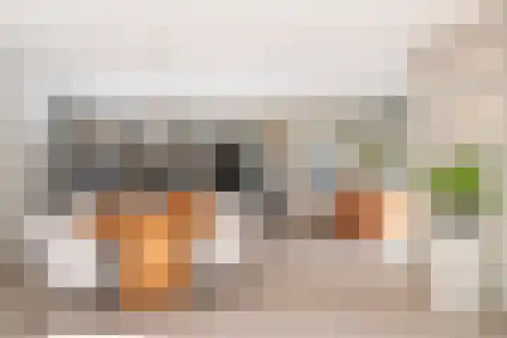 Franke-ven 21 Horn thumbnail 14