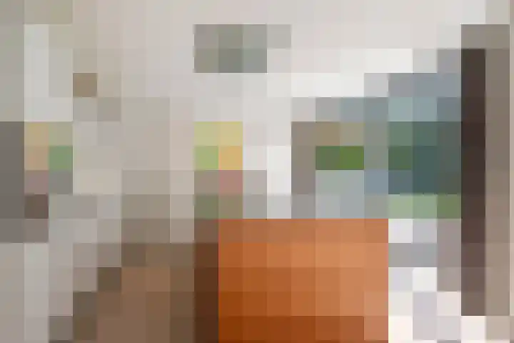 Franke-ven 21 Horn thumbnail 16