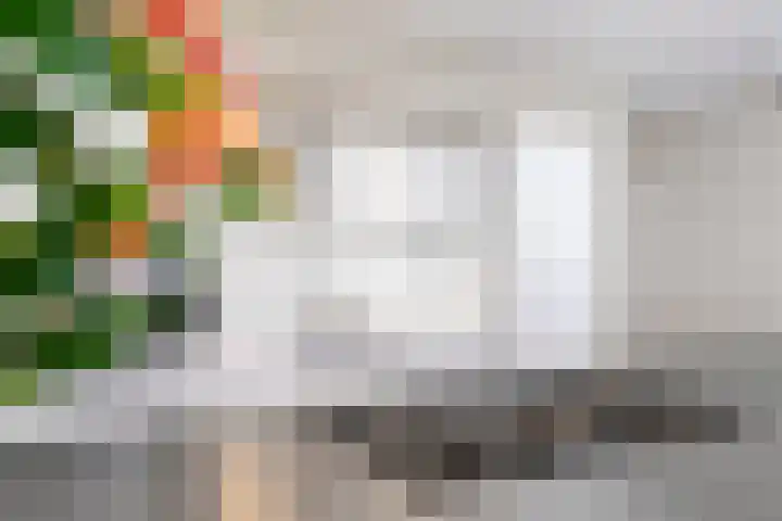 Franke-ven 21 Horn thumbnail 17