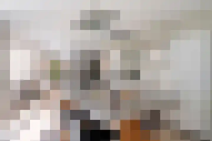 Franke-ven 21 Horn thumbnail 18