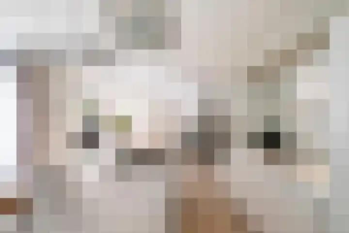 Franke-ven 21 Horn thumbnail 19