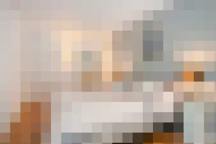 Franke-ven 21 Horn thumbnail 24