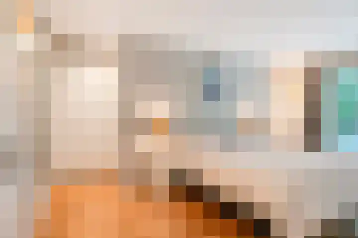 Franke-ven 21 Horn thumbnail 25