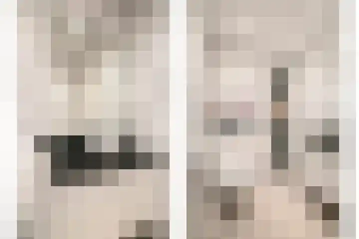Franke-ven 21 Horn thumbnail 29