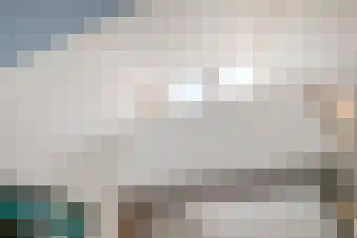Franke-ven 21 Horn thumbnail 36