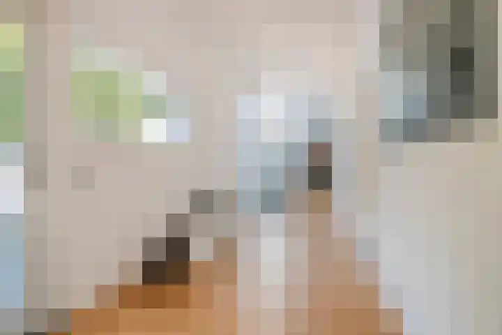 Franke-ven 21 Horn thumbnail 38