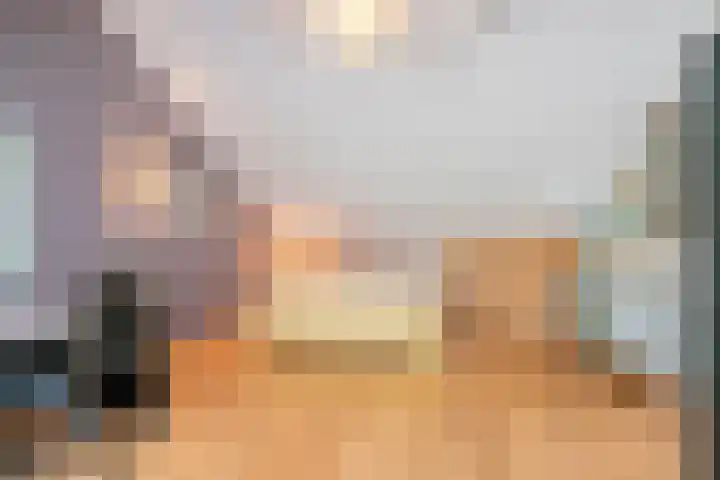Franke-ven 21 Horn thumbnail 40