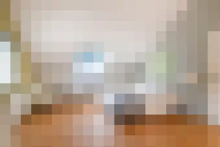 Franke-ven 21 Horn thumbnail 42