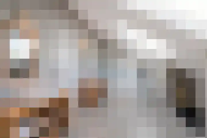 Franke-ven 21 Horn thumbnail 45