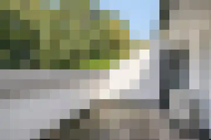 Franke-ven 21 Horn thumbnail 46