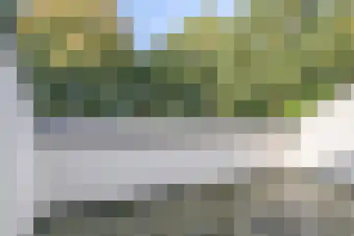 Franke-ven 21 Horn thumbnail 47