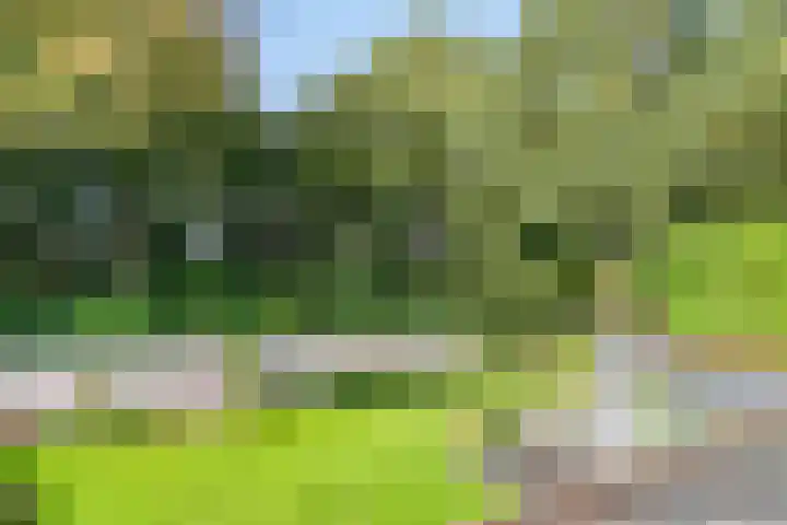 Franke-ven 21 Horn thumbnail 48