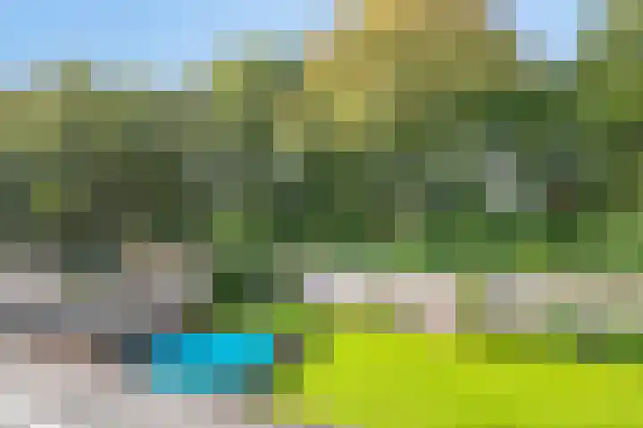 Franke-ven 21 Horn thumbnail 49