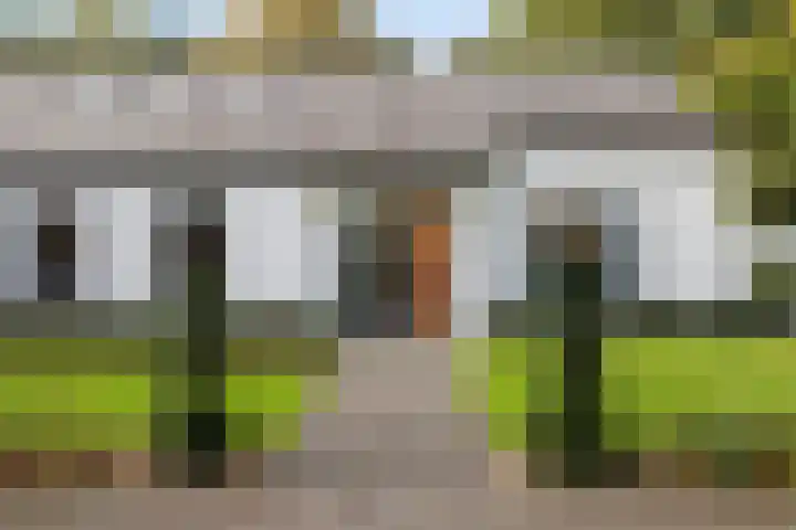 Franke-ven 21 Horn thumbnail 5