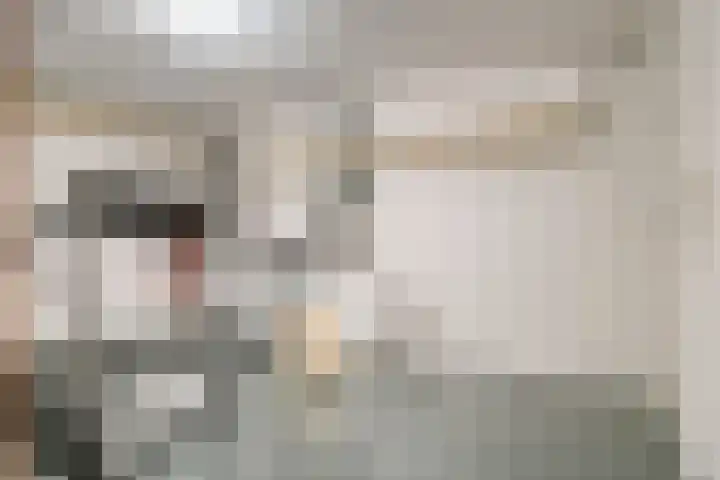 Franke-ven 21 Horn thumbnail 50