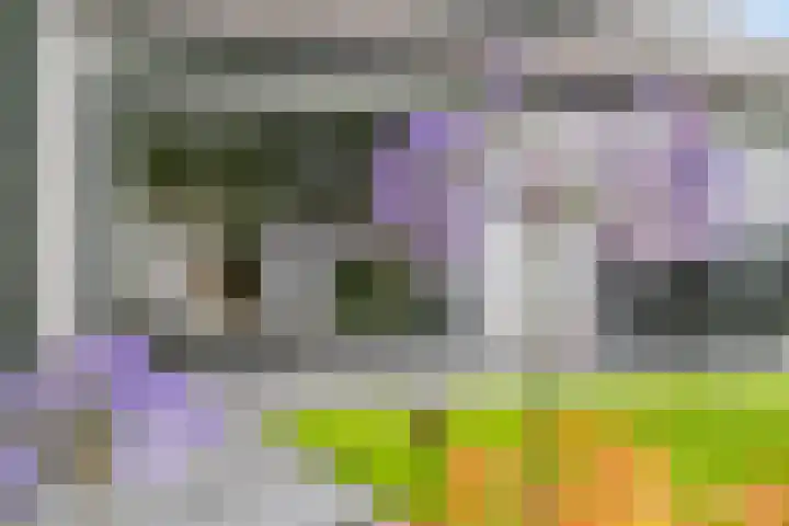 Franke-ven 21 Horn thumbnail 53