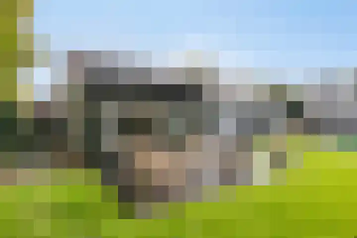 Franke-ven 21 Horn thumbnail 54