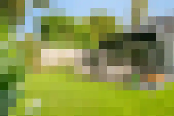 Franke-ven 21 Horn thumbnail 56