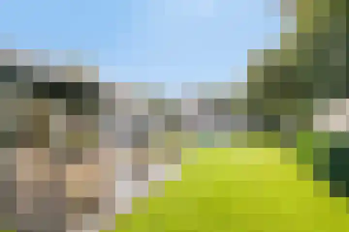 Franke-ven 21 Horn thumbnail 57