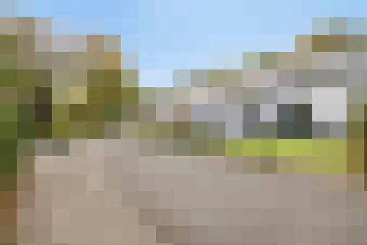 Franke-ven 21 Horn thumbnail 62