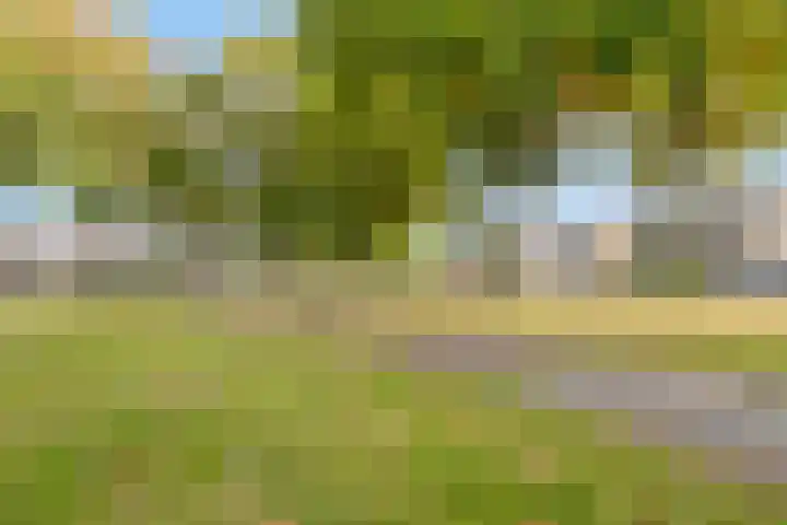 Franke-ven 21 Horn thumbnail 63