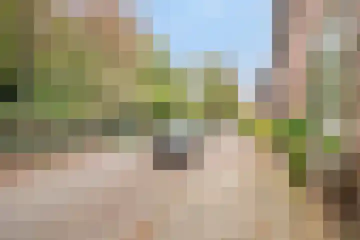 Franke-ven 21 Horn thumbnail 64
