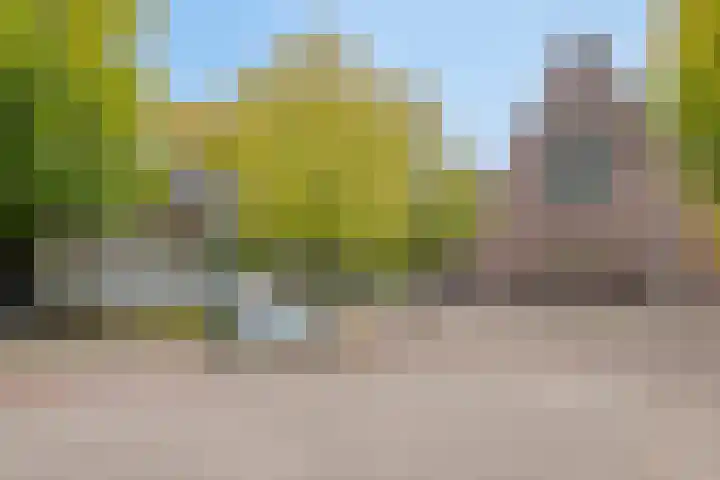 Franke-ven 21 Horn thumbnail 65