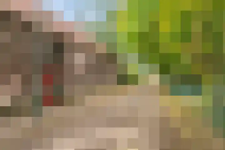 Franke-ven 21 Horn thumbnail 66
