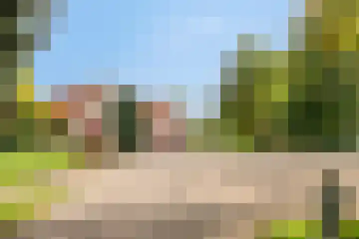 Franke-ven 21 Horn thumbnail 67