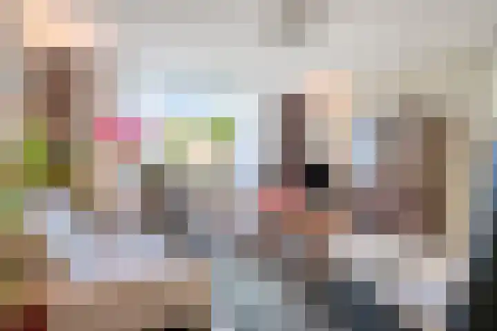 Franke-ven 21 Horn thumbnail 8