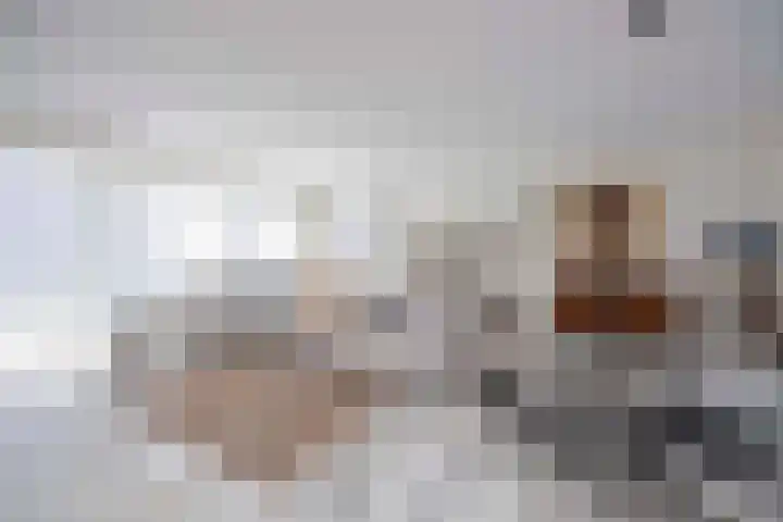 Frankenbocht 1 Hilvarenbeek thumbnail 10