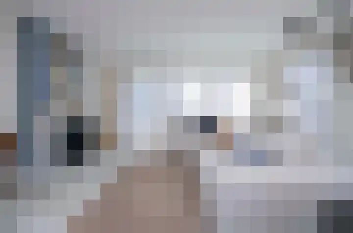 Frankenbocht 1 Hilvarenbeek thumbnail 13